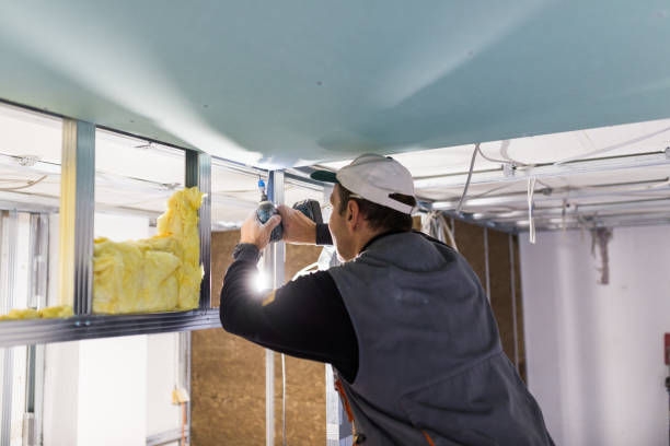 Best Cellulose Insulation in Lindsborg, KS